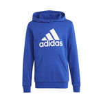 adidas Big Logo Essentials Cotton Hoodie