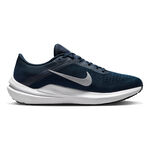 Nike Winflo 10