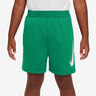 Dri-Fit Graphic Shorts