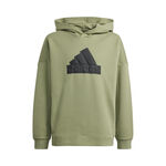 adidas Future Icon Logo Hoody